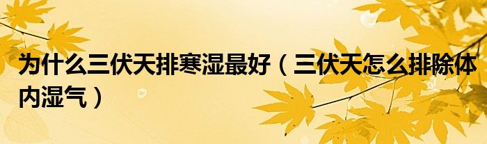 为什么三伏天排寒湿最好（三伏天怎么排除体内湿气）