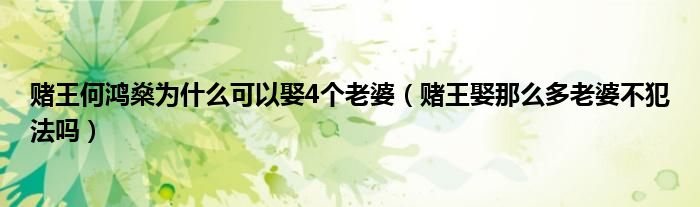 赌王何鸿燊为什么可以娶4个老婆（赌王娶那么多老婆不犯法吗）