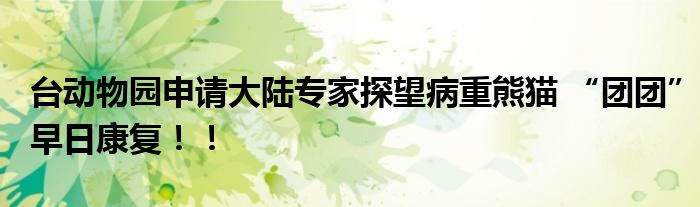 台动物园申请大陆专家探望病重熊猫 “团团”早日康复！！