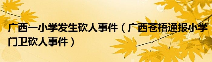 广西一小学发生砍人事件（广西苍梧通报小学门卫砍人事件）