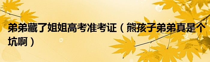 弟弟藏了姐姐高考准考证（熊孩子弟弟真是个坑啊）