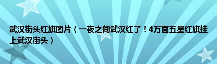 武汉街头红旗图片（一夜之间武汉红了！4万面五星红旗挂上武汉街头）