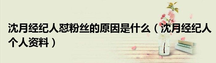沈月经纪人怼粉丝的原因是什么（沈月经纪人个人资料）