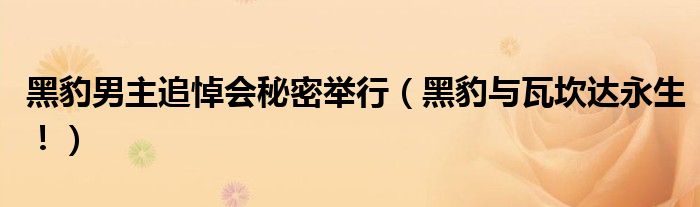 黑豹男主追悼会秘密举行（黑豹与瓦坎达永生！）