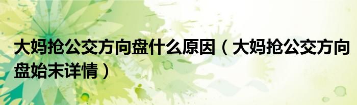 大妈抢公交方向盘什么原因（大妈抢公交方向盘始末详情）