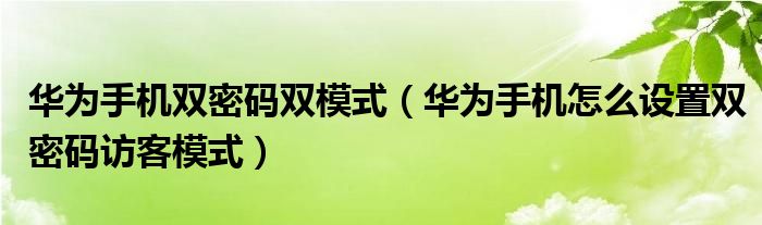 华为手机双密码双模式（华为手机怎么设置双密码访客模式）