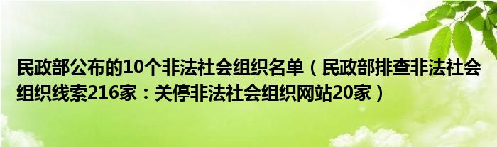 民政部公布的10个非法社会组织名单（民政部排查非法社会组织线索216家：关停非法社会组织网站20家）