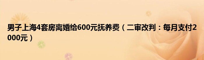 男子上海4套房离婚给600元抚养费（二审改判：每月支付2000元）