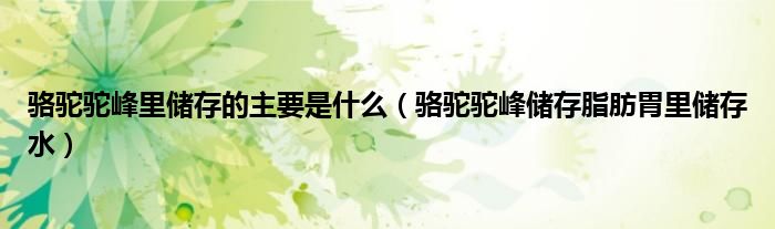 骆驼驼峰里储存的主要是什么（骆驼驼峰储存脂肪胃里储存水）