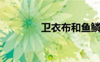 卫衣布和鱼鳞布有什么区别