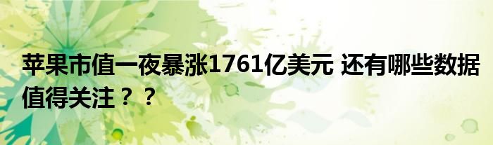 苹果市值一夜暴涨1761亿美元 还有哪些数据值得关注？？