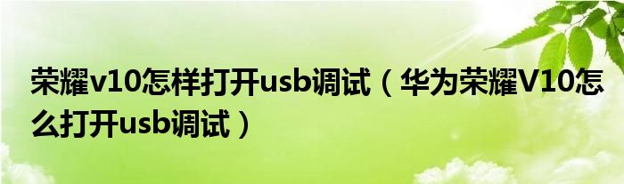  荣耀v10怎样打开usb调试（华为荣耀V10怎么打开usb调试）