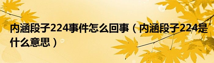 内涵段子224事件怎么回事（内涵段子224是什么意思）