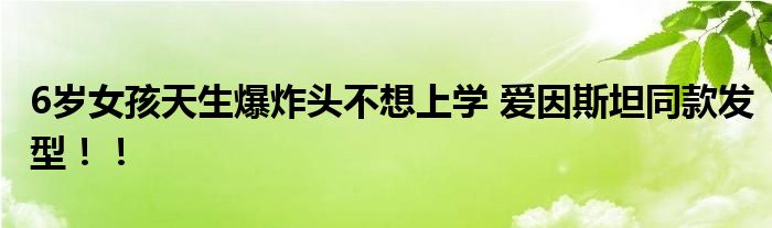6岁女孩天生爆炸头不想上学 爱因斯坦同款发型！！