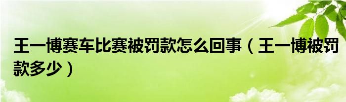 王一博赛车比赛被罚款怎么回事（王一博被罚款多少）