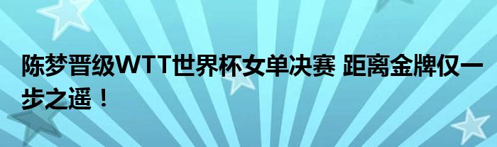 “陈梦晋级WTT世界杯女单决赛 距离金牌仅一步之遥！
