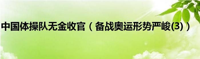 中国体操队无金收官（备战奥运形势严峻(3)）