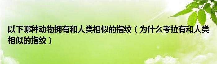以下哪种动物拥有和人类相似的指纹（为什么考拉有和人类相似的指纹）