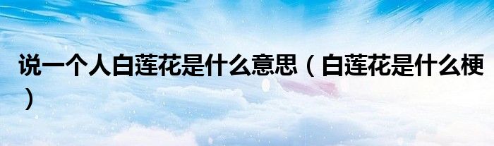 说一个人白莲花是什么意思（白莲花是什么梗）
