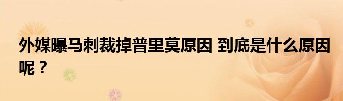 外媒曝马刺裁掉普里莫原因 到底是什么原因呢？