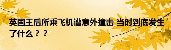 英国王后所乘飞机遭意外撞击 当时到底发生了什么？？