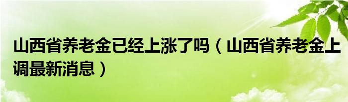 山西省养老金已经上涨了吗（山西省养老金上调最新消息）
