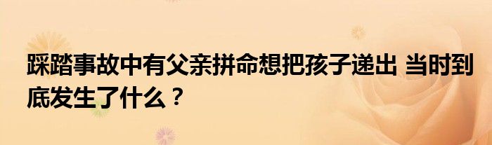 踩踏事故中有父亲拼命想把孩子递出 当时到底发生了什么？