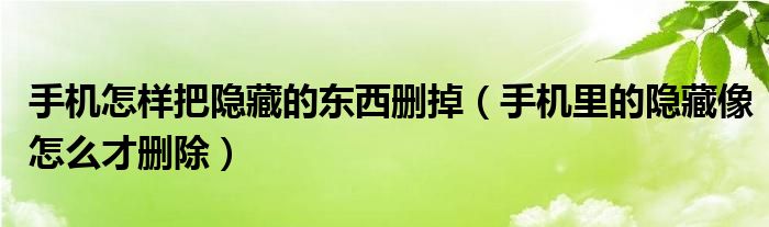 手机怎样把隐藏的东西删掉（手机里的隐藏像怎么才删除）