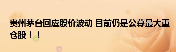 贵州茅台回应股价波动 目前仍是公募最大重仓股！！