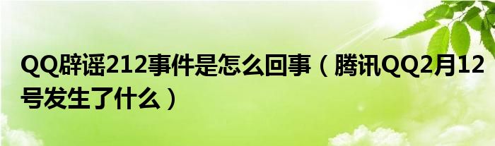  QQ辟谣212事件是怎么回事（腾讯QQ2月12号发生了什么）