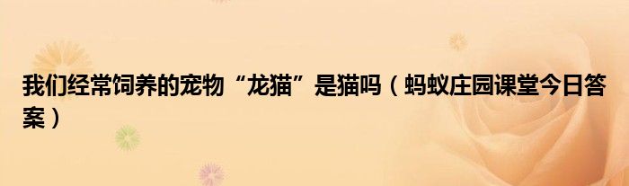 我们经常饲养的宠物“龙猫”是猫吗（蚂蚁庄园课堂今日答案）