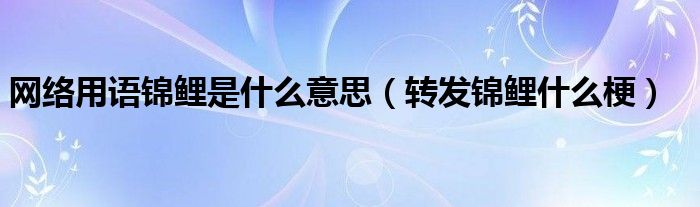 网络用语锦鲤是什么意思（转发锦鲤什么梗）