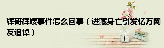 辉哥辉嫂事件怎么回事（进藏身亡引发亿万网友追悼）