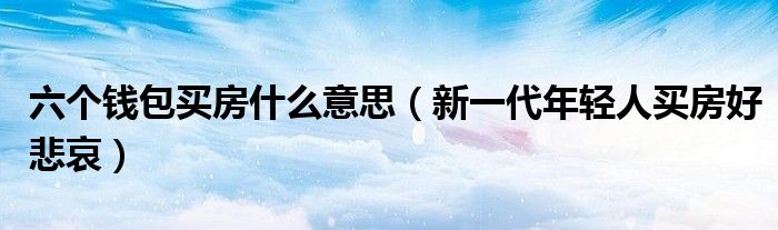 六个钱包买房什么意思（新一代年轻人买房好悲哀）
