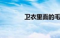 卫衣里面的毛圈是什么面料