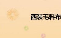 西装毛料布多少钱一米