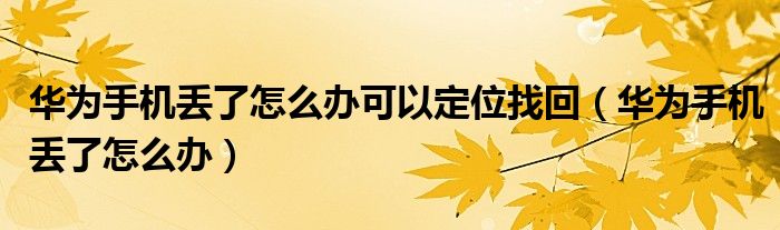 华为手机丢了怎么办可以定位找回（华为手机丢了怎么办）