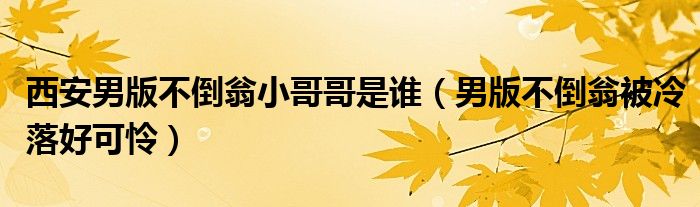 西安男版不倒翁小哥哥是谁（男版不倒翁被冷落好可怜）