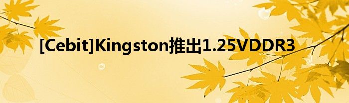 [Cebit]Kingston推出1.25VDDR3