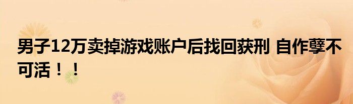 男子12万卖掉游戏账户后找回获刑 自作孽不可活！！