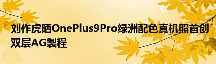 刘作虎晒OnePlus9Pro绿洲配色真机照首创双层AG製程