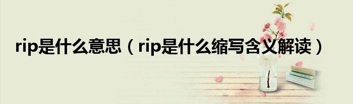 rip是什么意思（rip是什么缩写含义解读）