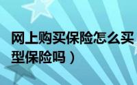 网上购买保险怎么买（你知道网上怎么买消费型保险吗）