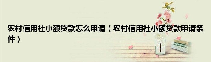 农村信用社小额贷款怎么申请（农村信用社小额贷款申请条件）