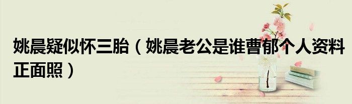 姚晨疑似怀三胎（姚晨老公是谁曹郁个人资料正面照）