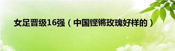 女足晋级16强（中国铿锵玫瑰好样的）