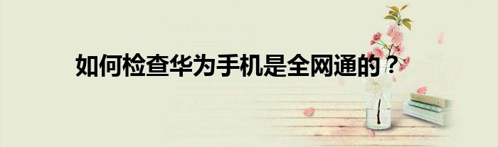 如何检查华为手机是全网通的？