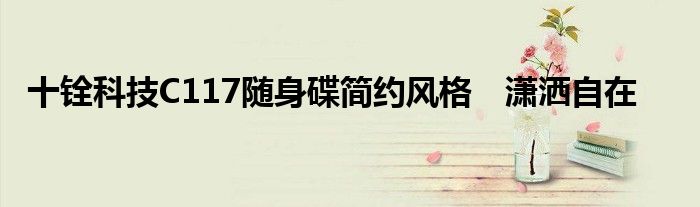 十铨科技C117随身碟简约风格　潇洒自在