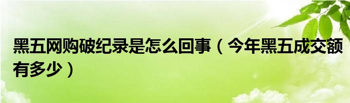黑五网购破纪录是怎么回事（今年黑五成交额有多少）