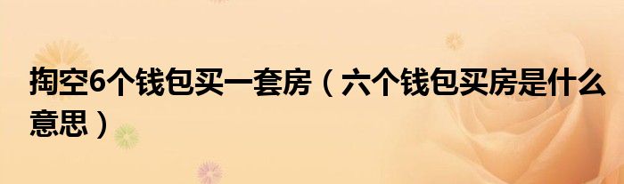 掏空6个钱包买一套房（六个钱包买房是什么意思）